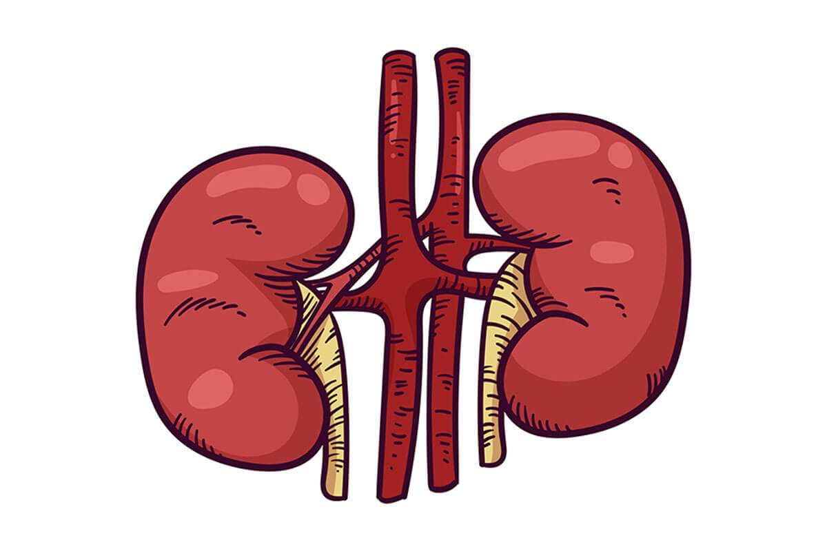 Renal Denervasyon Nasıl Yapılır?